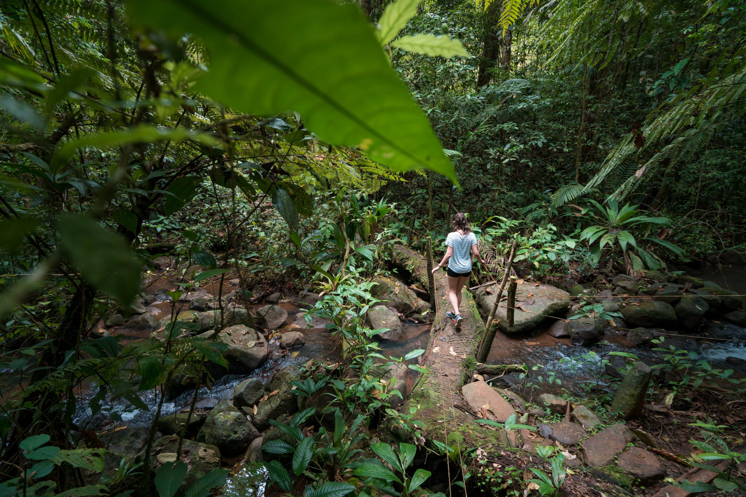 travel psychologist says admit personal flaws