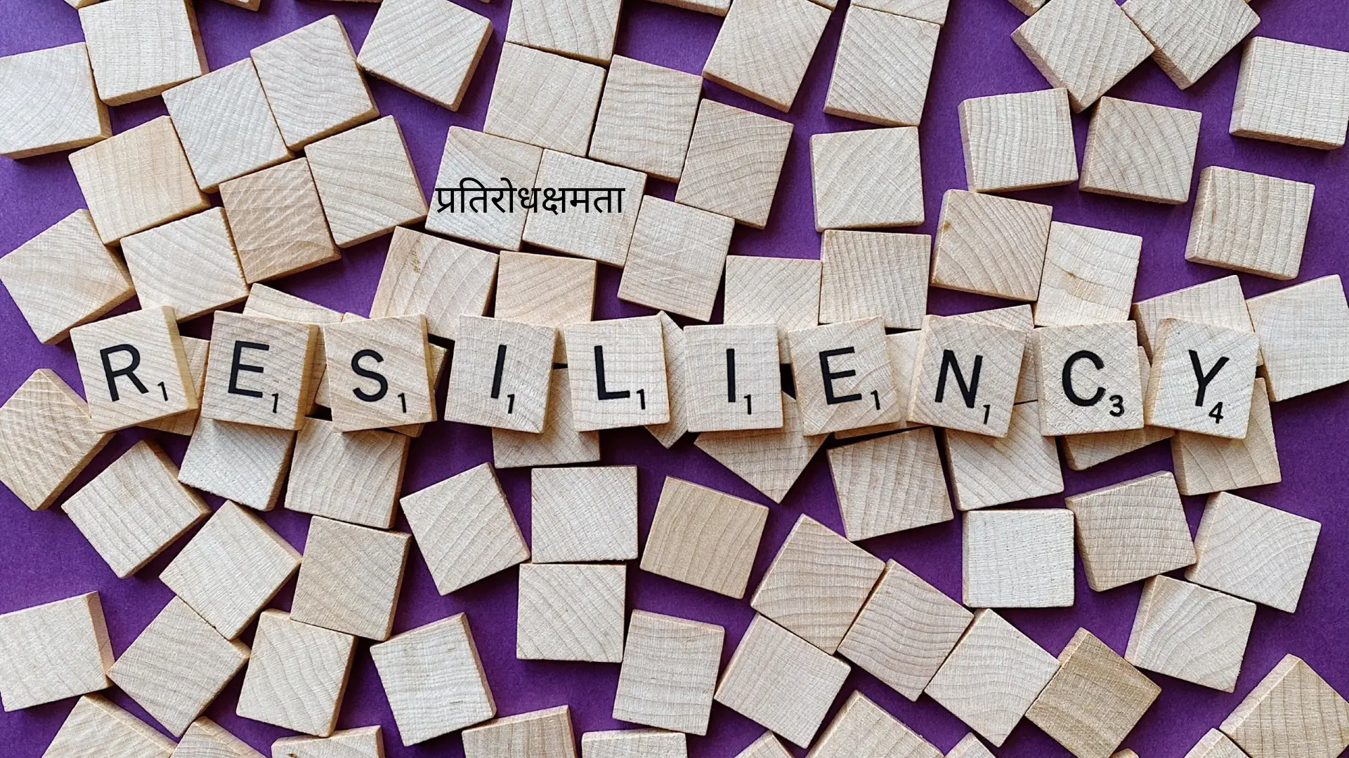 Resilience in Hindi meaning