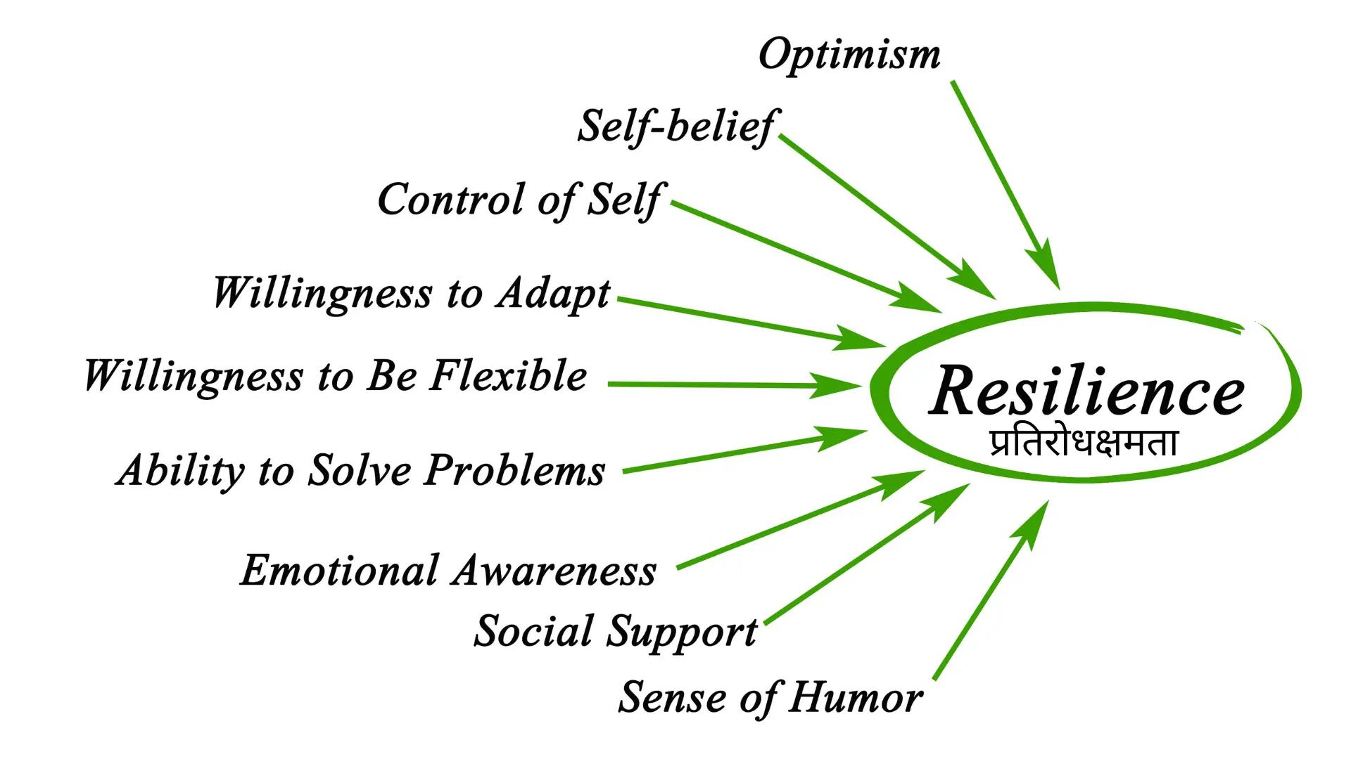 Resilience in Hindi meaning