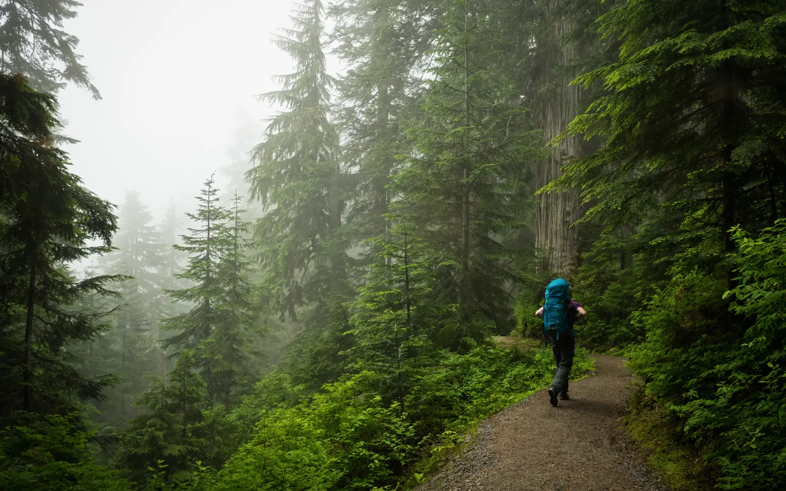 travel psychology