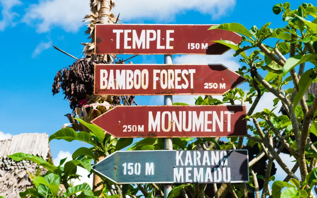 Intentional travel psychology