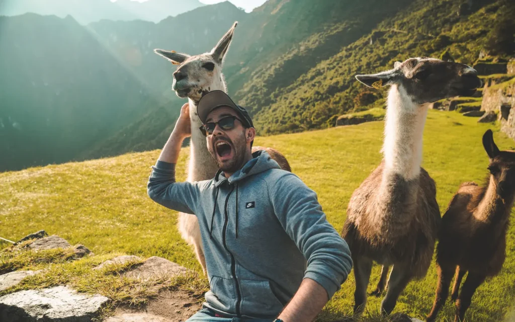 travel founders applied psychologist in their travel startup