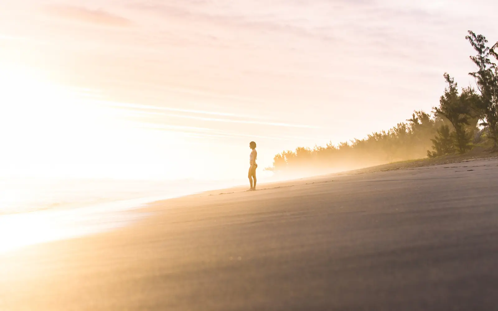 Travel Psychologist Care About Mental Health
