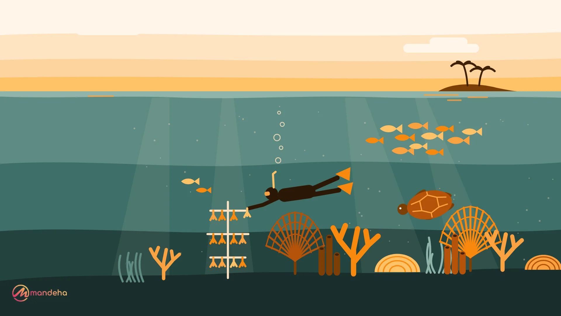 Illustration of a snorkeller attaching a young coral to an underwater coral nursery, with a sea turtle, fish and a reef below, showing a regenerative travel mindset.